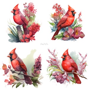 Red Cardinal Watercolor Clipart, Cardinal Watercolor,Red Cardinal Clipart PNG, Printable Digital Download, Sublimation,Red Cardinal clipart