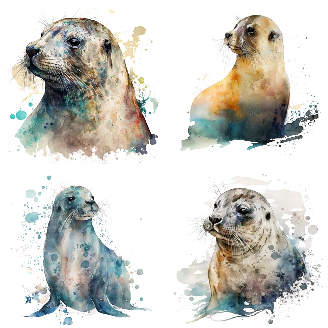 Seal Watercolor, Digital Downloads, Seal Clipart, Seal PNG, Seal Wall
