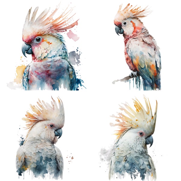 Cockatoo Watercolor Clipart, Cockatoo Watercolor, Cockatoo Clipart PNG, Printable Digital Download, Sublimation, Cockatoo clipart