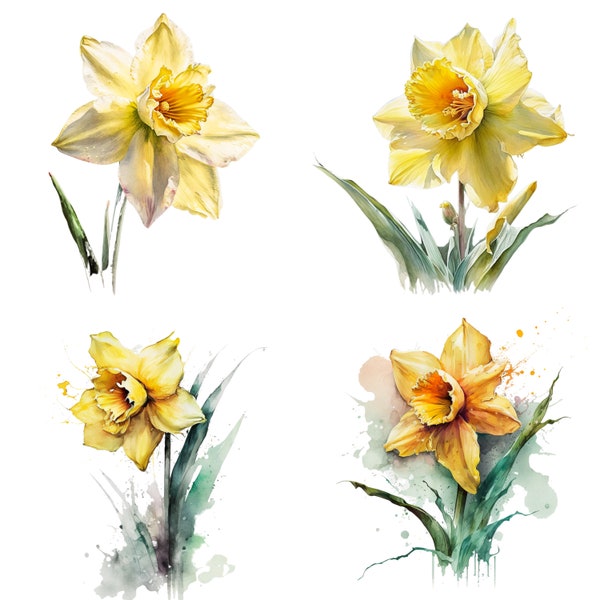 Watercolor Daffodil, Daffodil Clipart, Watercolor Flower Print, Wedding Flowers Sublimation,Flower PNG