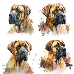 Boerboel Art Print, Boerboel Print,Boerboel Watercolor, Boerboel Clipart PNG, Printable Digital Download, Sublimation