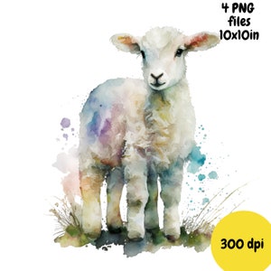 Lamb Watercolor, Digital Downloads, Lamb Clipart, Lamb PNG, Lamb Wall