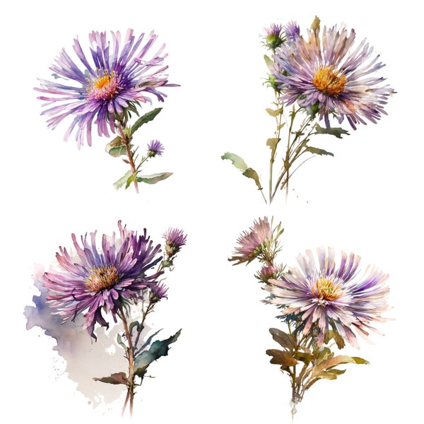 Watercolor Aster, Aster Clipart, Watercolor Flower Print, Wedding Flowers Sublimation,Flower PNG