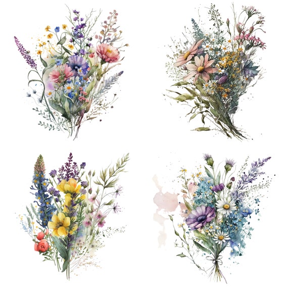 North American Wildflowers Watercolor Clipart Flowers of 