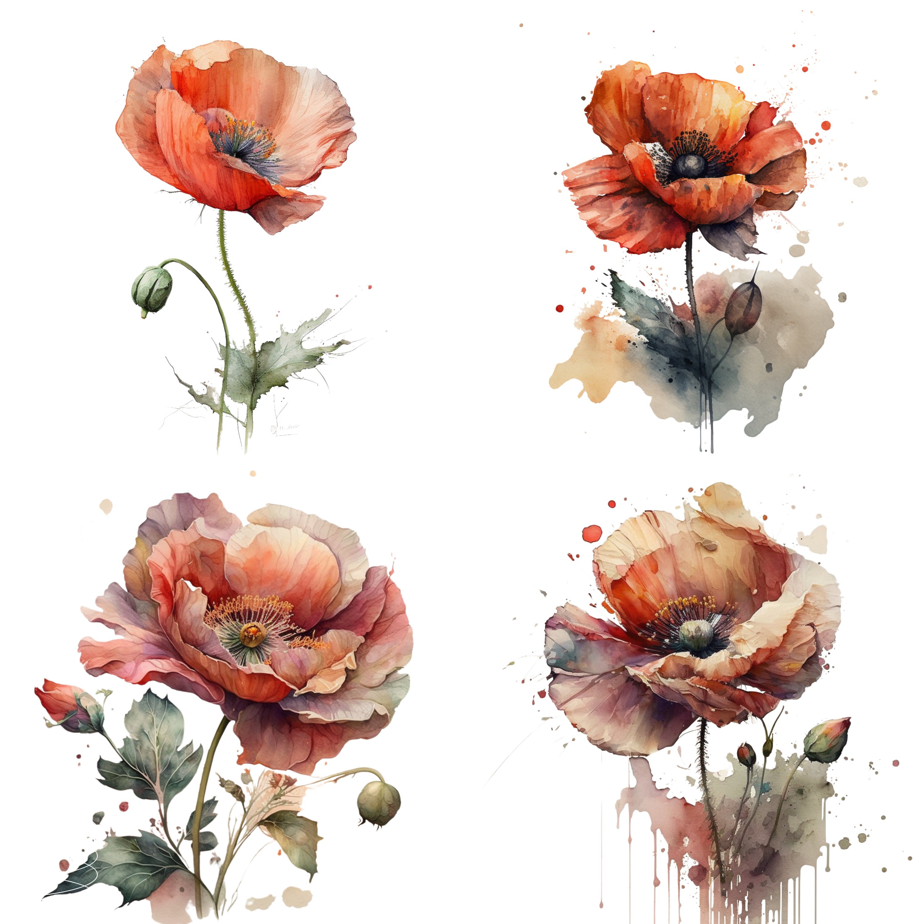 Watercolor Poppy Poppy Clipart Watercolor Flower Print Etsy