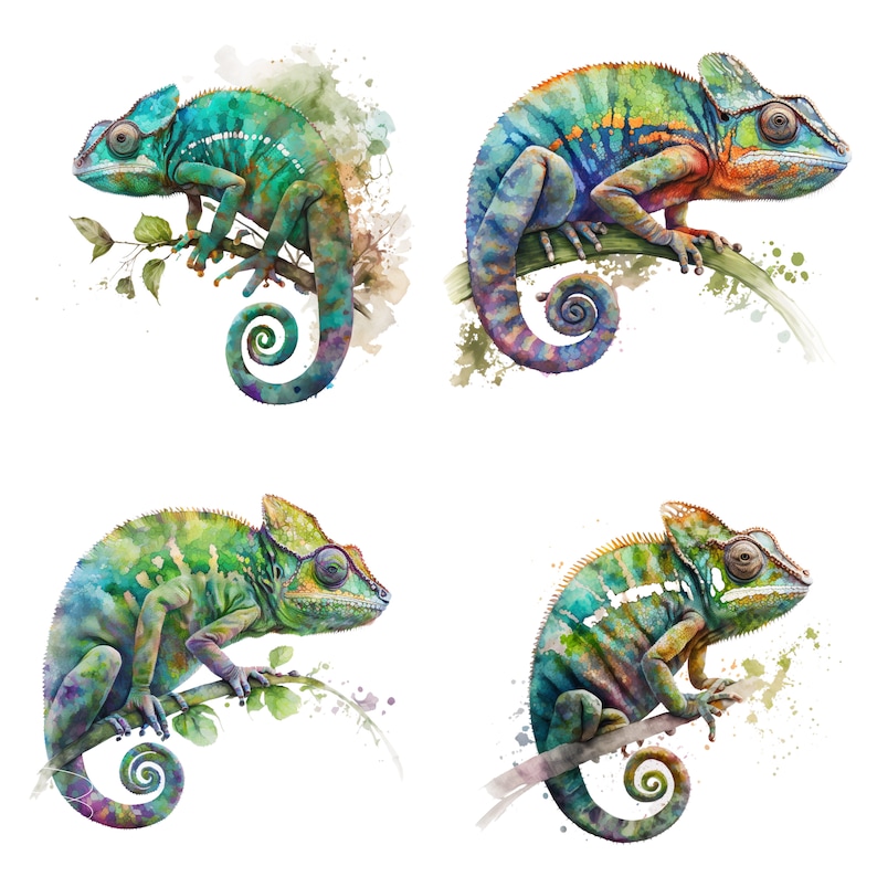 Chameleon Watercolor, Digital Downloads, Chameleon Clipart, Chameleon PNG, Chameleon wall art, Safari prints, Sublimation image 1