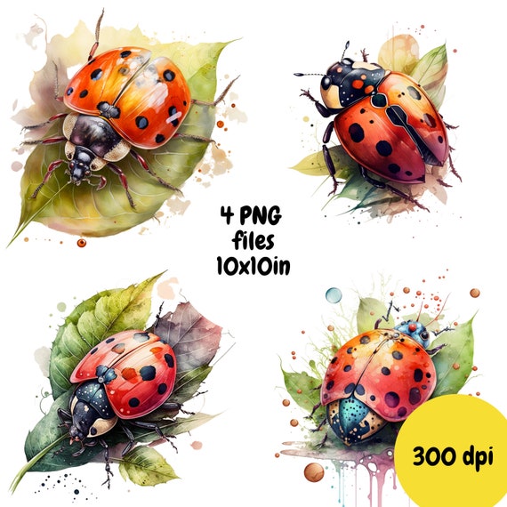 View full size Png - Miraculous Ladybug Png Clipart and download