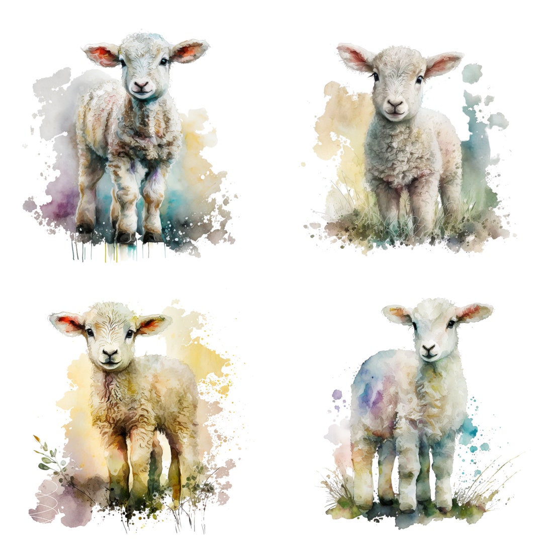Lamb Watercolor, Digital Downloads, Lamb Clipart, Lamb PNG, Lamb Wall