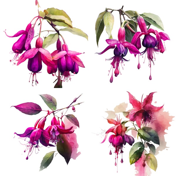 Watercolor Fuschia, Fuschia Clipart, Watercolor Flower Print, Wedding Flowers Sublimation,Flower PNG