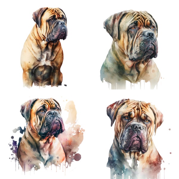 Watercolor Bullmastiff,Bullmastiff Dog Clipart, Bullmastiff Dog PNG, Watercolor Dog, Digital Download, Sublimation