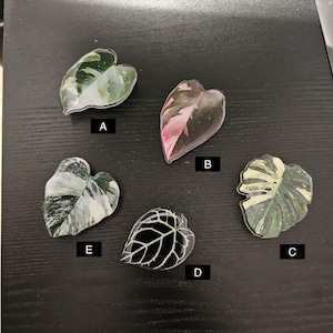May include: Five different leaf-shaped resin paperweights, each with a unique pattern. The paperweights are arranged in a circle on a black surface. The paperweights are labeled A, B, C, D, and E.