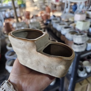 May include: A beige ceramic planter with two connected compartments. The planter has a textured surface and a dark brown rim. The background shows other ceramic pots and planters, suggesting a garden or home decor theme.