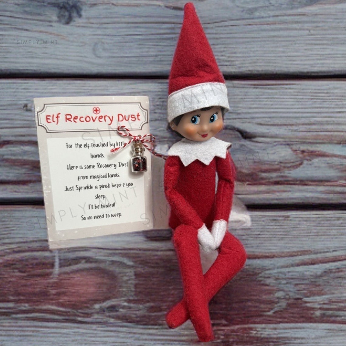 Elf Dust Elf on the Shelf Elf Magic Elf Touched Elf Recovery Dust Kids ...