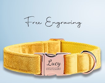 Personalised Yellow Dog Collar, Custom Pet Collar, Engraved Pet Tag, Dog Leash, Puppy Collar, Gift for Pets, Dog Gifts
