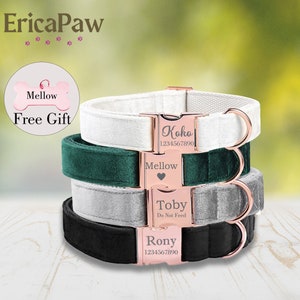 Collier pour chien personnalisé en velours, collier pour animal de compagnie gravé personnalisé, médaille gravée pour animal de compagnie, laisse pour chien, collier pour chiot, cadeau pour animal de compagnie, cadeaux pour chien