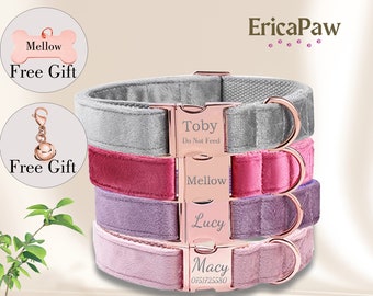 Collare per cani in velluto personalizzato, collare per animali domestici con incisione personalizzata, medaglietta per animali domestici con incisione, guinzaglio per cani, collare per cuccioli, regalo per animali domestici, regali per cani