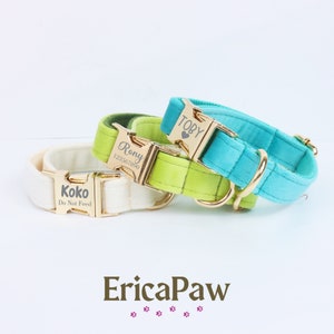 Pu&ograve; includere: Tre collari per cani personalizzati con fibbie dorate. I collari sono bianco, verde e blu. Il collare bianco ha il nome "Koko" e il testo "Non dare da mangiare". Il collare verde ha il nome "Rony" e il numero "1234567800". Il collare blu ha il nome "Toby" e un simbolo di cuore.