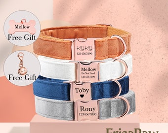 Collare per cani in velluto personalizzato, collare per animali domestici con incisione personalizzata, medaglietta per animali domestici con incisione, guinzaglio per cani, collare per cuccioli, regalo per animali domestici, regali per cani