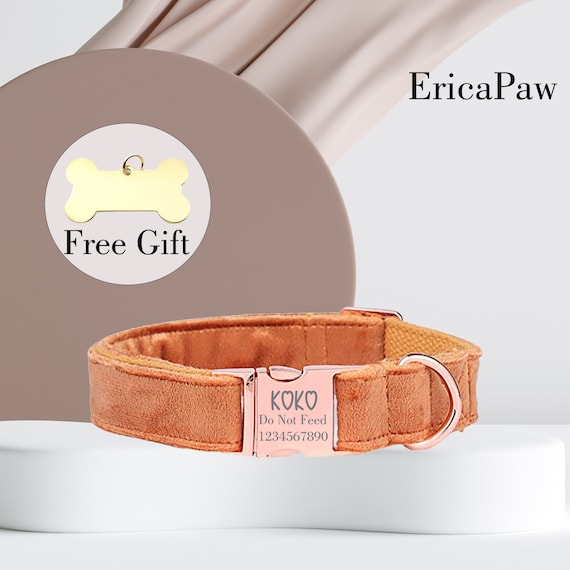 Aggiungi Incisione Su Collare O Guinzaglio