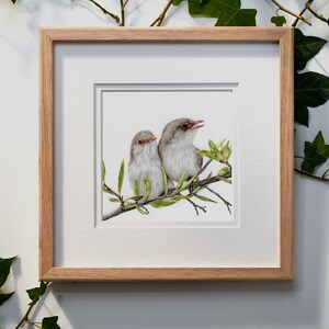 Superb Fairy Wren Giclée Fine Art Print - &quot;Sunday Morning&quot;