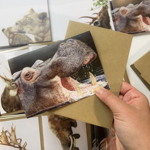 Hippopotamus Greeting Card - &quot;Monday Morning&quot; Coloured Pencil Artwork