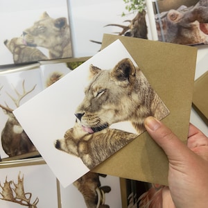 Lioness and Cub Greeting Card - "Pride" Coloured Pencil Artwork