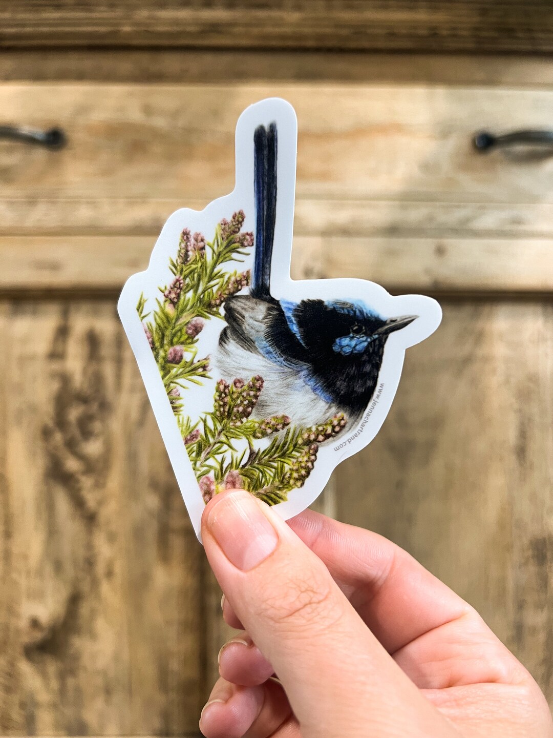 Wren Sticker Superb Fairy Wren Sticker -