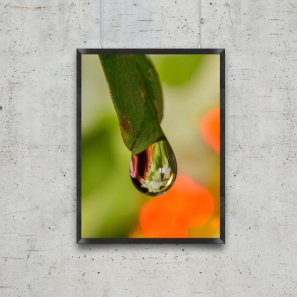 Nature's Tear - Stunning water drop with floral background in vivid colors, perfect for home or office, downloadable for fast, easy delivery