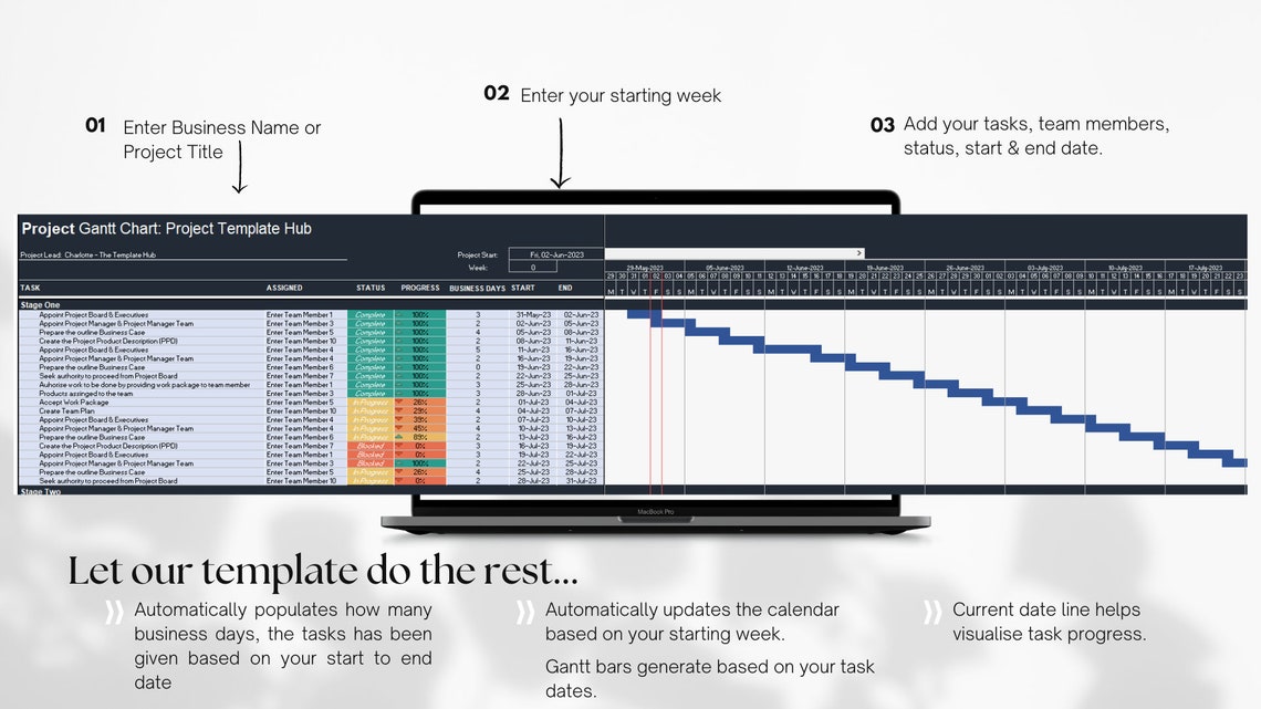 Professional Excel Gantt Chart | Automated Project Timeline | Microsoft ...