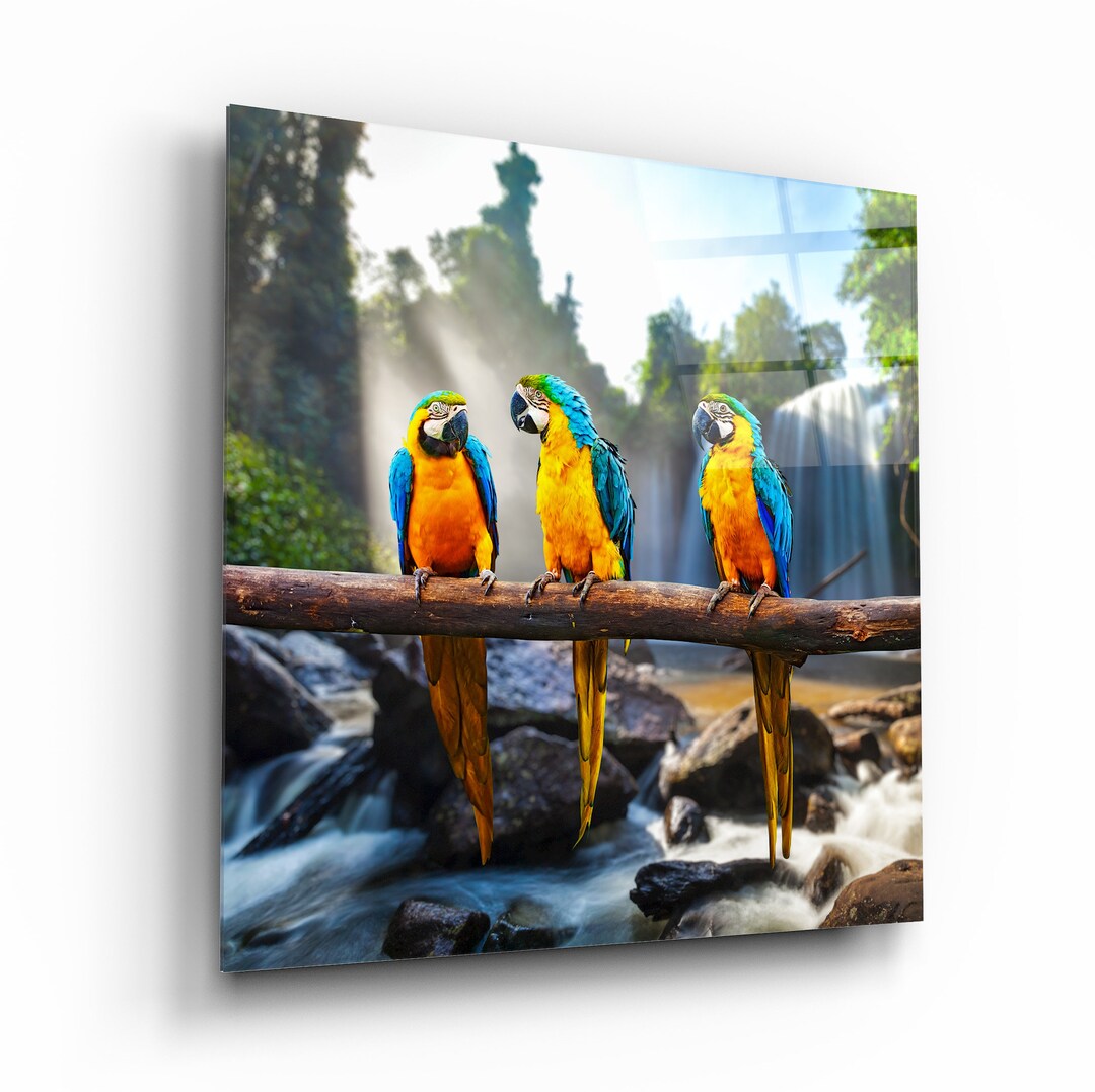 Tips For Printing Photographs For Glass Wall Living Room Decor preview