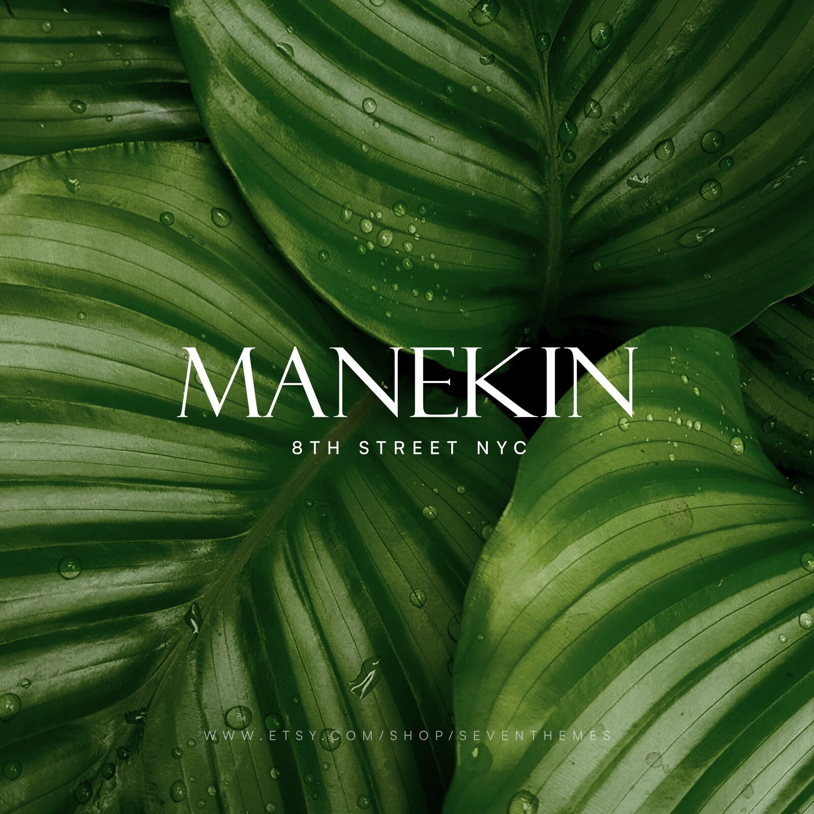 Beauty Salon Logo, Hair Salon Logo, Hair Stylist Logo, Nail Salon, Spa