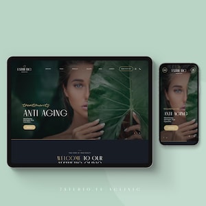 Premium Aesthetic SkinCare website. Professional agency grade website template for esthetician, MedSpa, beautician, beauty salon, PMU.