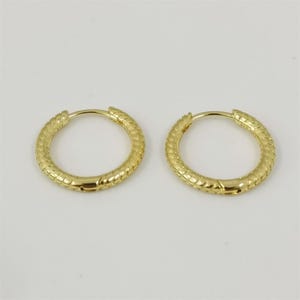 pandora moments small charm hoop earrings