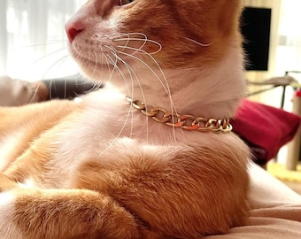 Collar Gold Cat Collar Silver Cat and Dog Collar