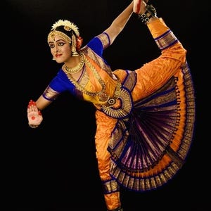 slim fit dress slacks Royal Blue And Pink Classical Dance Bharatanatyam Dress main image 0