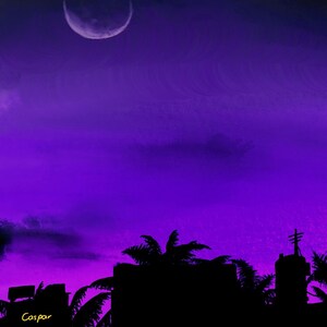 May include: A crescent moon hangs in a vibrant purple sky, silhouetted against a cityscape with palm trees. The sky is a deep, rich purple, with a hint of pink at the horizon. The moon is a pale white, and the cityscape is a dark silhouette.
