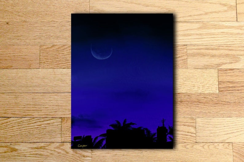 May include: A crescent moon hangs in a dark blue sky, with a silhouette of palm trees in the foreground.