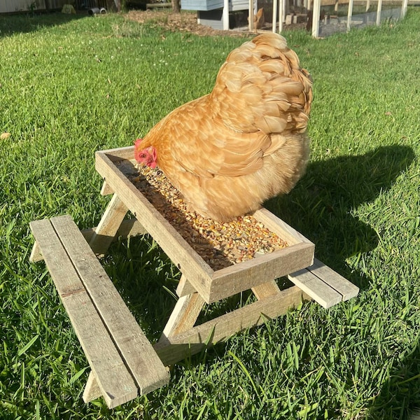 Chicknic Table - Chicken Table