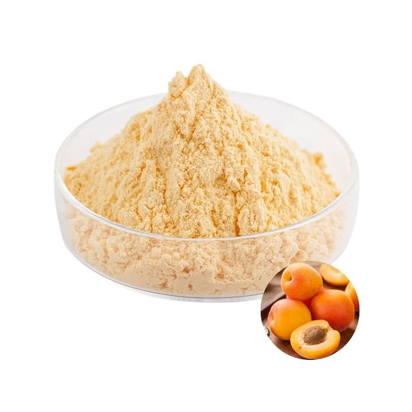 Apricot Fruit Powder Rosaceae Prunus