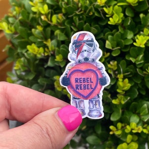 Rebel Storm Trooper Pin