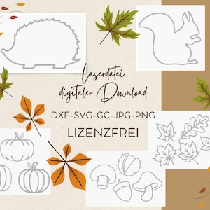 Arquivo laser SVG, motivos de outono SVG, pacote de gravação a laser_14 motivos outonais, arquivo cortado a laser outono, download digital SVG