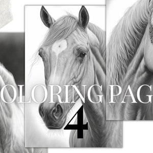 fantasy horses printable PDF | 4 Grayscale coloring pages | Instant Download Grayscale coloring pages for kids and adults