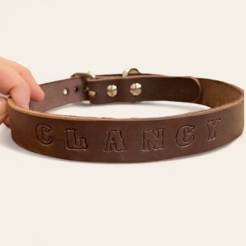 Personalised Dog Collar And Lead Set With Engraved Name Tag - Nylon, Adjustable, Multiple Colours