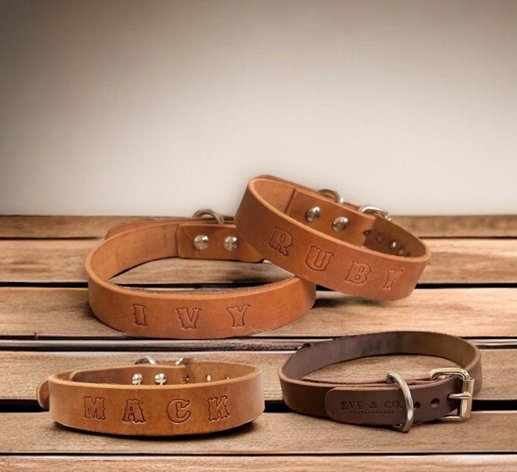 Dog Collar Lead Set, Personalised Dog Collars Australia, Dog Leads