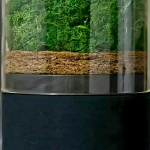 Briiv Eco-Friendly Natural Filtration System Air Purifier - WiFi Connectivity