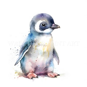 Lindo paquete de imágenes prediseñadas de pingüinos: 9 archivos JPG de alta calidad, descargas digitales, uso comercial, acuarela, técnica mixta, manualidades digitales en papel, tazas