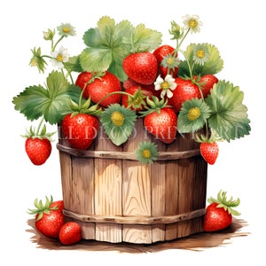 Bundle de cliparts fraises - 10 fichiers JPG de haute qualité - téléchargements numériques - utilisation commerciale, aquarelle, techniques mixtes, créations numériques en papier