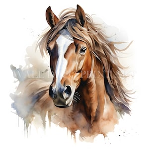 Bundle détaillé de cliparts cheval - 10 fichiers JPG de haute qualité - téléchargements numériques - utilisation commerciale, aquarelle, techniques mixtes, créations numériques en papier