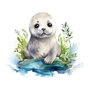 Pacchetto di clipart di cuccioli di foca carini - 12 JPG di alta qualità - Download digitali - Uso commerciale, acquerello, tecniche miste, artigianato digitale con carta