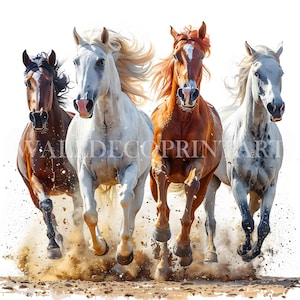 Pacote de clipart 10 Wild HORSES - JPGs de alta qualidade - Downloads digitais - Uso comercial, aquarela, mídia mista, diário de artesanato em papel digital